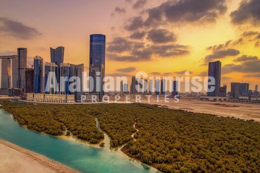 Mangrove view full Builduing in Shams area