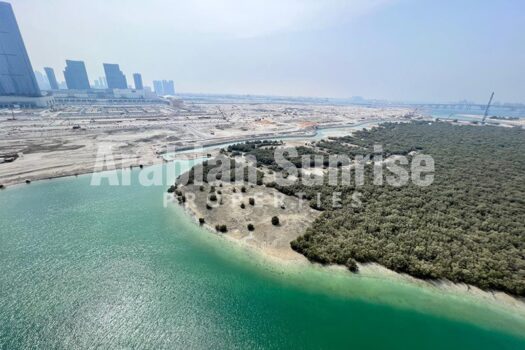 Mangrove view full Builduing in Shams area