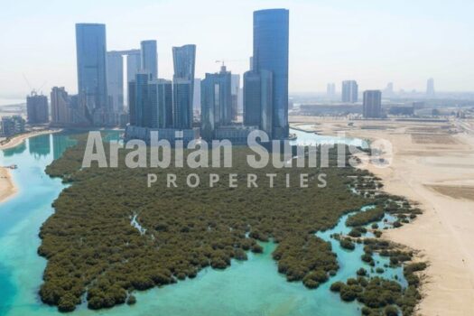 Full Building | Direct on the Mangrove