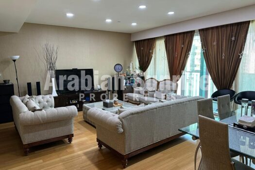 Spacious Upgraded Apt with Road View