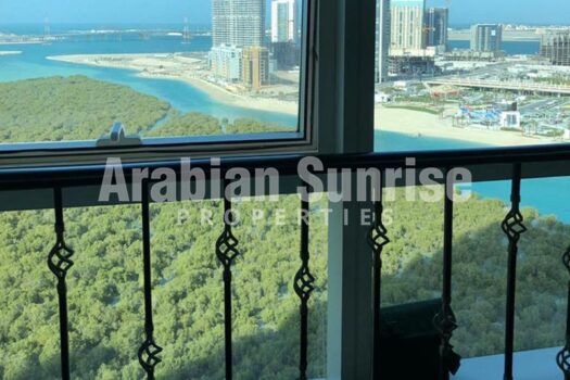 Huge Layout | Mangrove View | High Floor