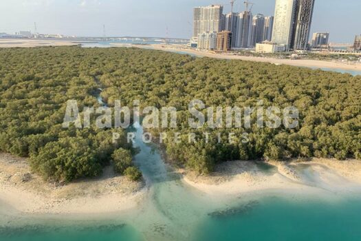 Huge Layout | Mangrove View | High Floor