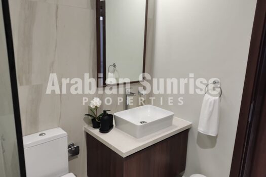 Furnished Apt | VACANT Mid of may | midFloor