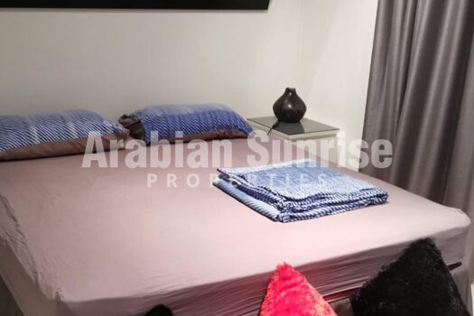 Vacant by May End | Furnished Apt | Huge Terrace