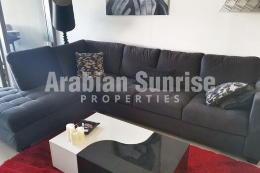Vacant by May End | Furnished Apt | Huge Terrace