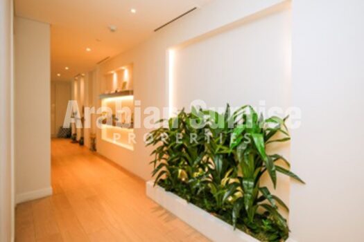 Luxurious Living | 4+Maids | Ready to Move in