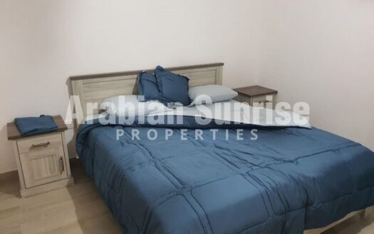 Vacant Fully Furnished Apt| Community View