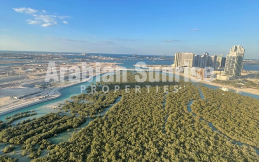 Vacant on transfer | Fully Furnished | Mangrove View